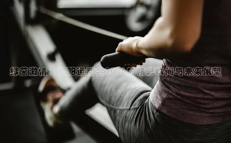 XCsport体育网页