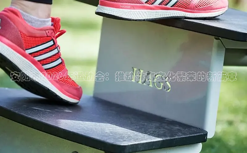 www.XC-Sports